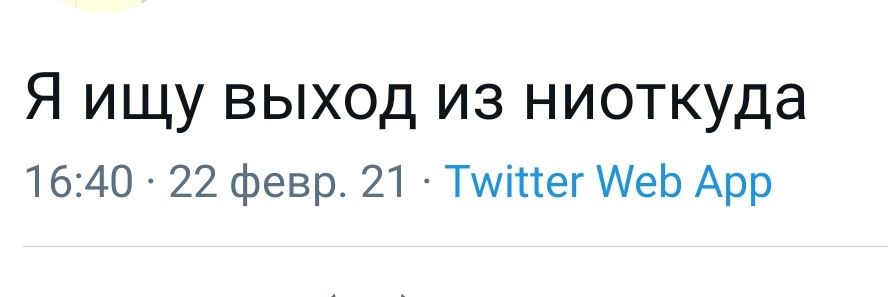 Le Tanchik 🤍 banner
