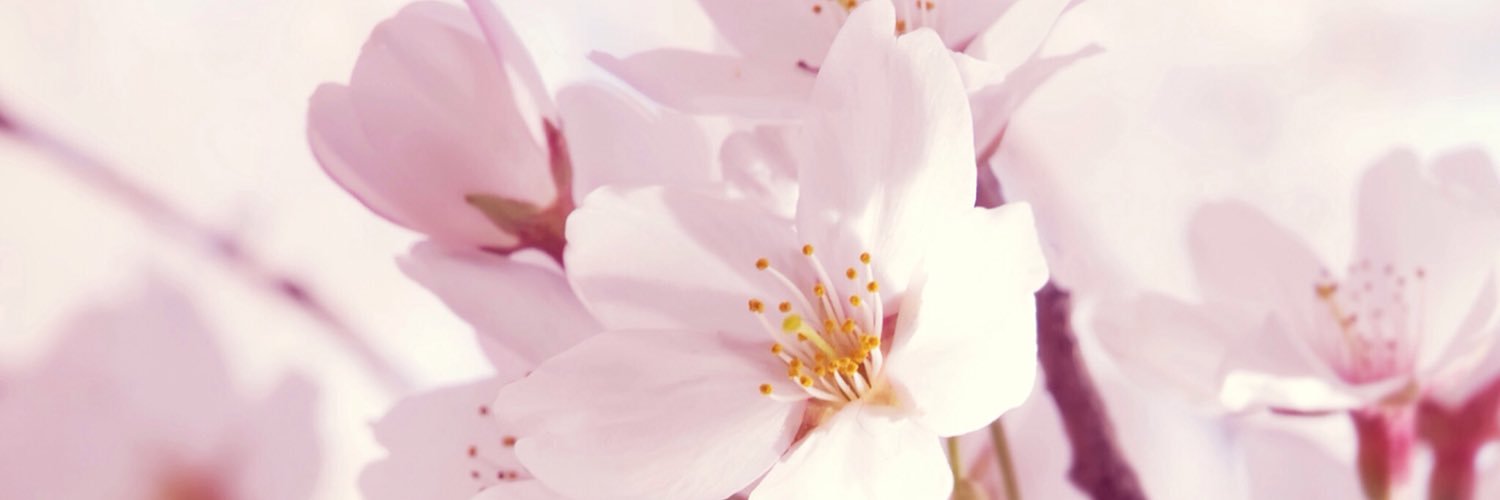 edomiicjf's profile banner image