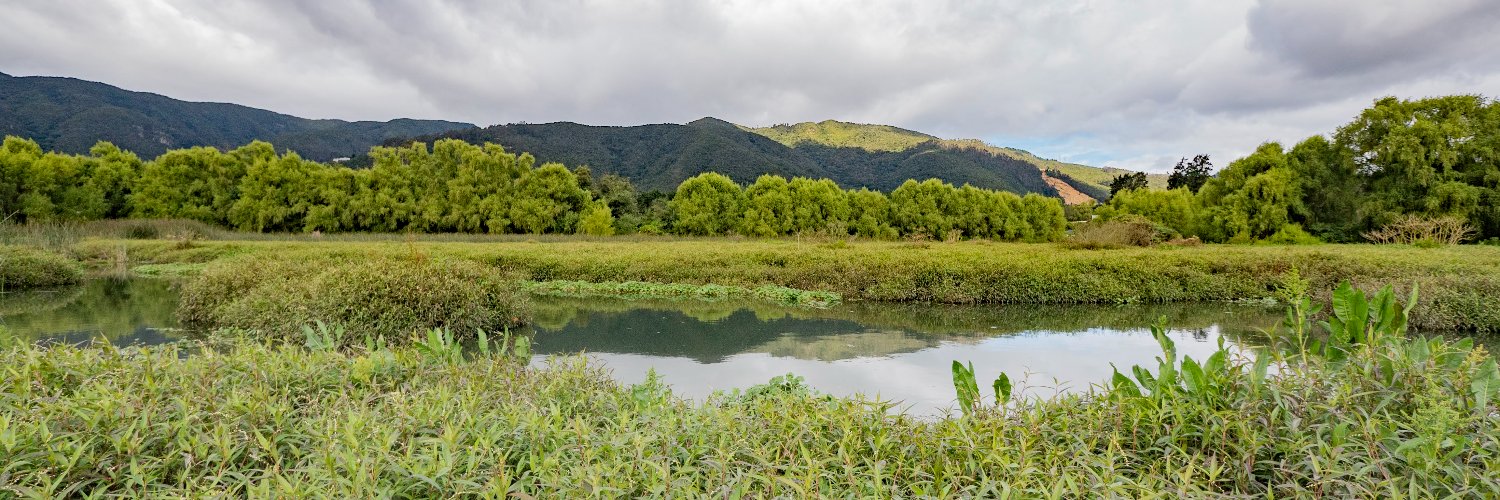 Corresponsal Ambiental banner