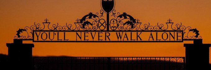 nelfernz's profile banner image