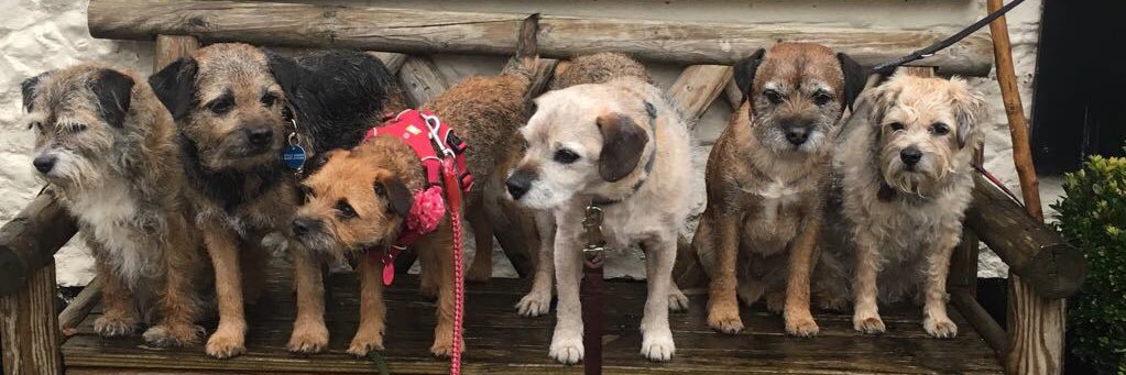 Mumof Lady Buffy🌈OTRB banner