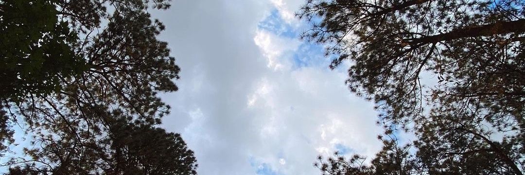 yoalbito's profile banner image