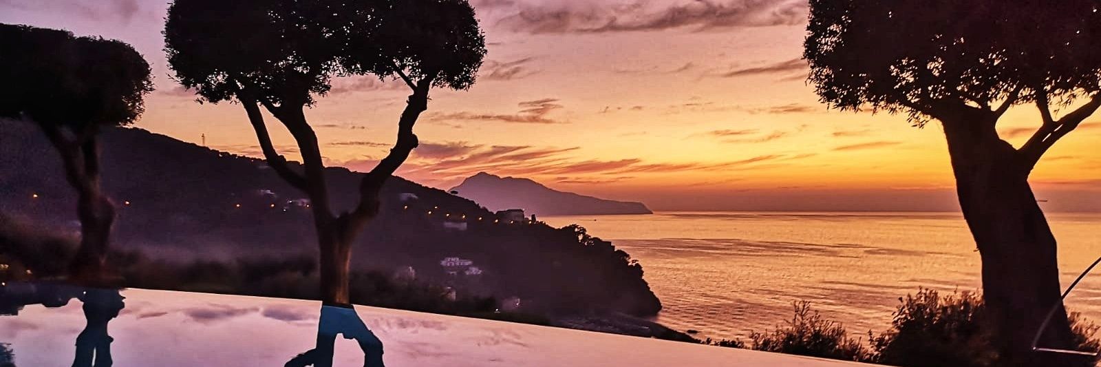 Polly Pochtron banner