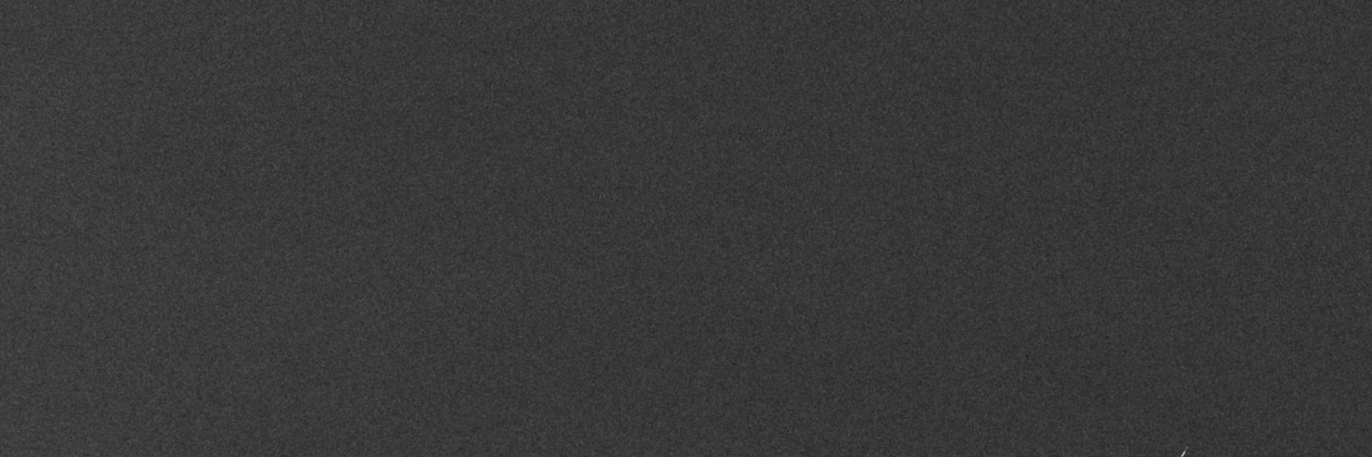 Stephen Lynch banner