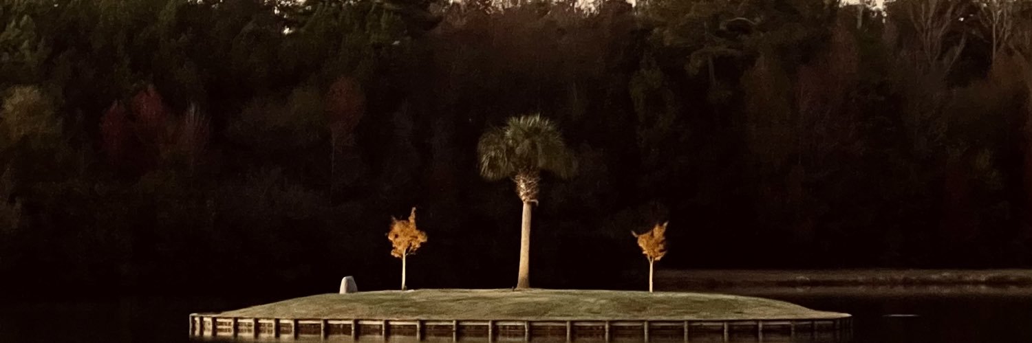 wesleysward's profile banner image