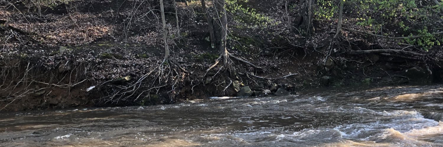 Jordan Laura Gouws-Dewar 🌻 banner