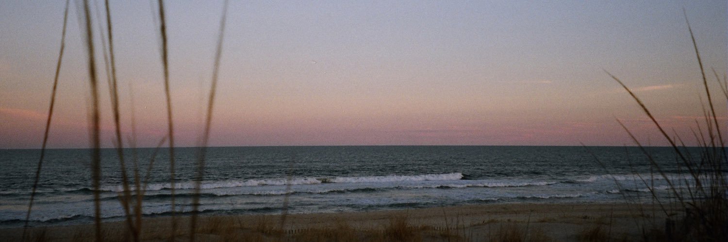 laur_barbalacci's profile banner image