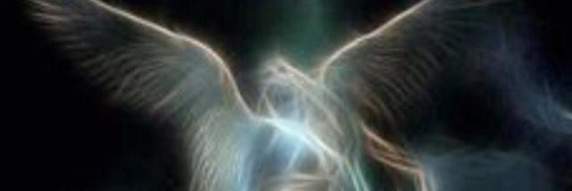 TrillKut's profile banner image
