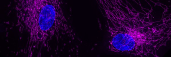 CharlieBidgood Profile Banner