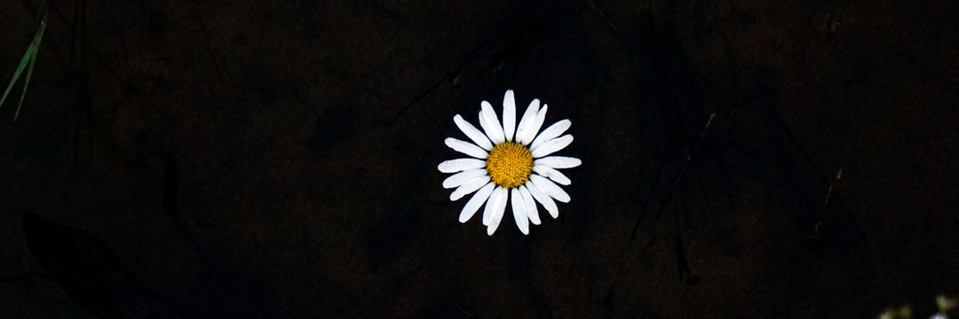 MehmetSaaid's profile banner image