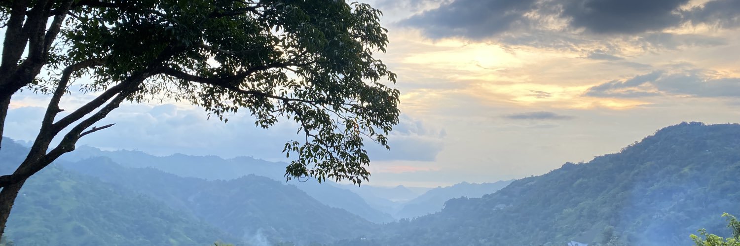 justineliz's profile banner image