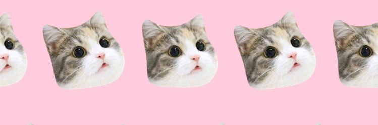 igiiisss's profile banner image