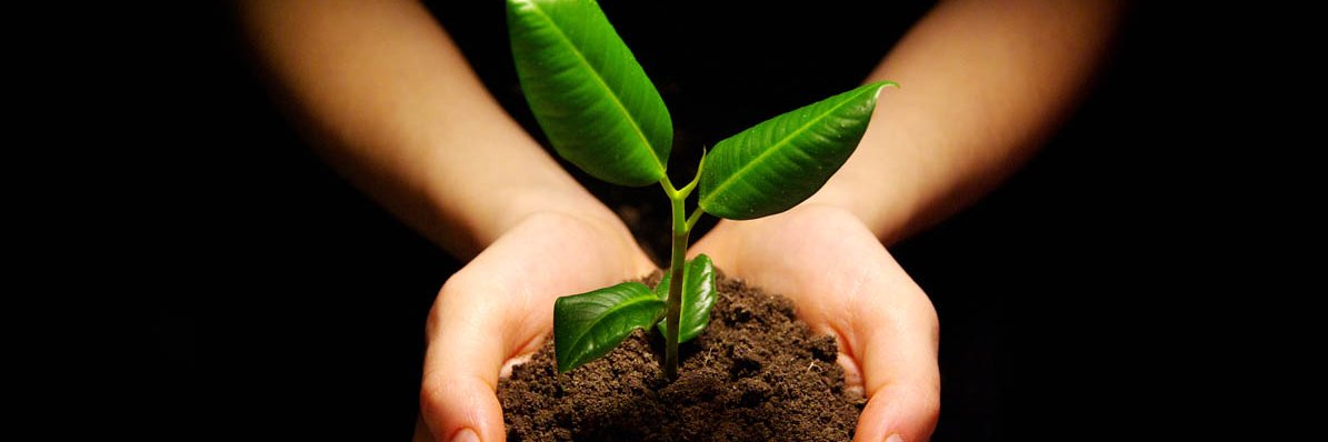 AttyBryanBrice banner