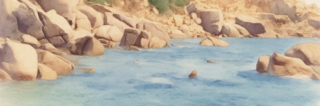 tortoiserock's profile banner image