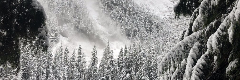 Dfused2's profile banner image