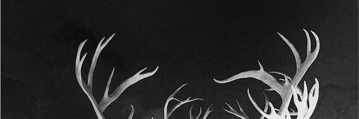 indrianasr's profile banner image