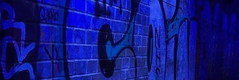 fred ⋆ ✰ banner