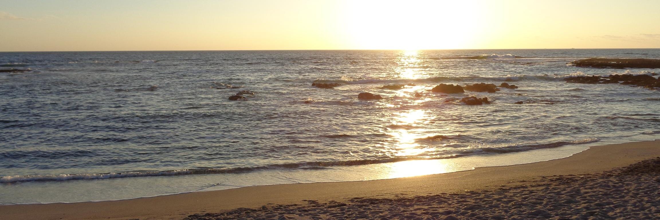 thecanito's profile banner image