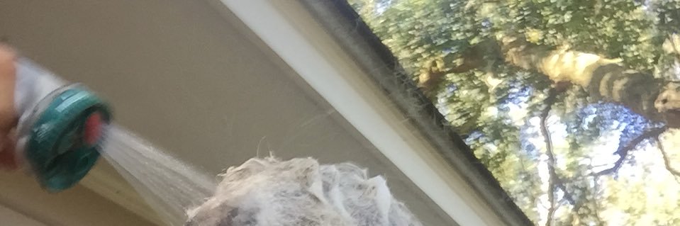 TUTerryDickson's profile banner image