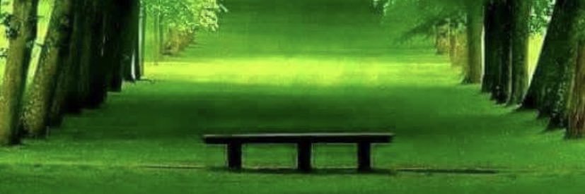 Cleve216822's profile banner image
