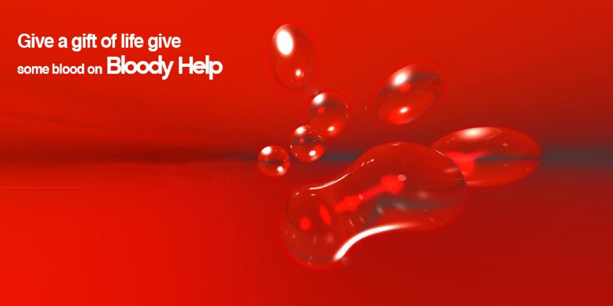 BloodyHelp's profile banner image