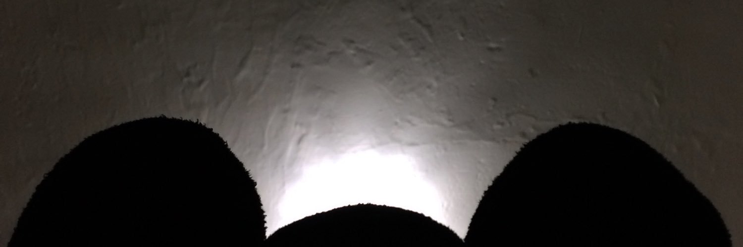 cinnong's profile banner image