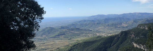 aampcat Profile Banner