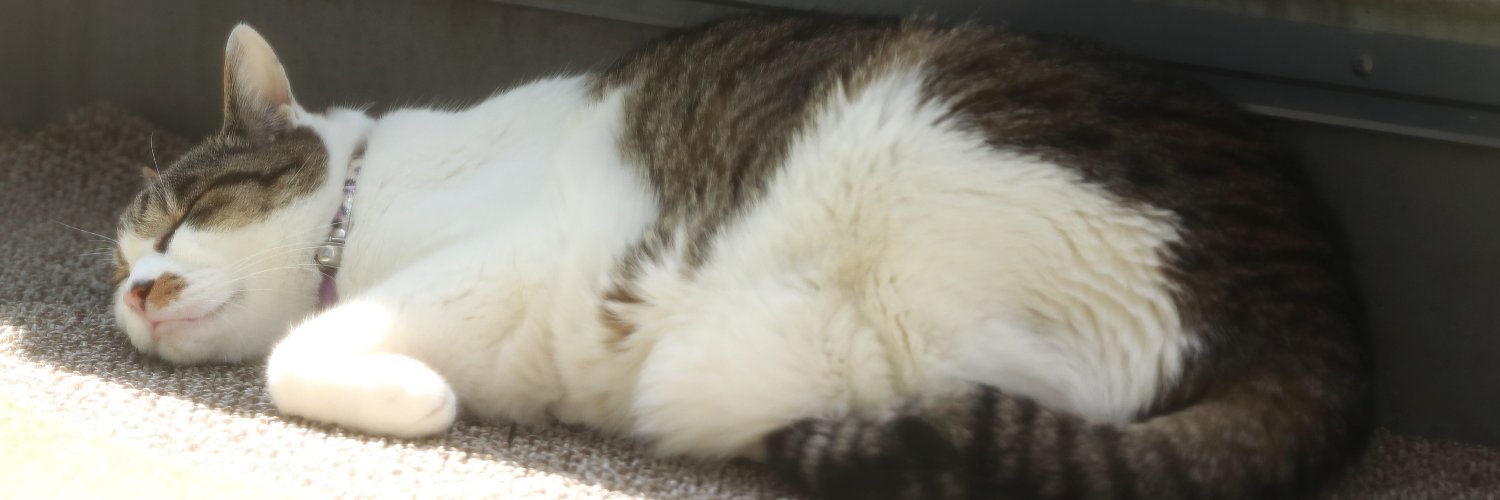 📸自遊写📸 banner