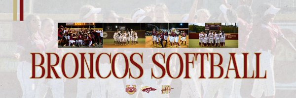 Brookwood Softball Profile Banner