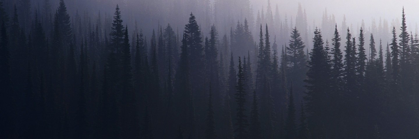 m0nologue's profile banner image