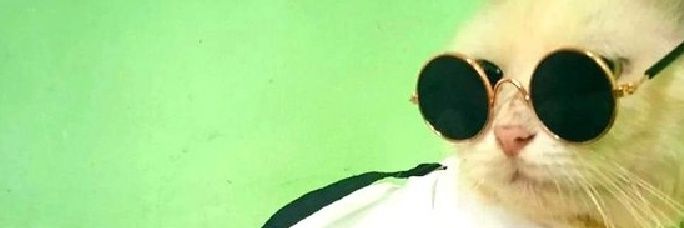 Grazie banner
