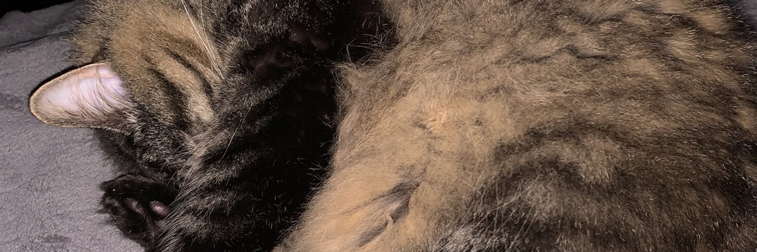 StaciHunter2's profile banner image