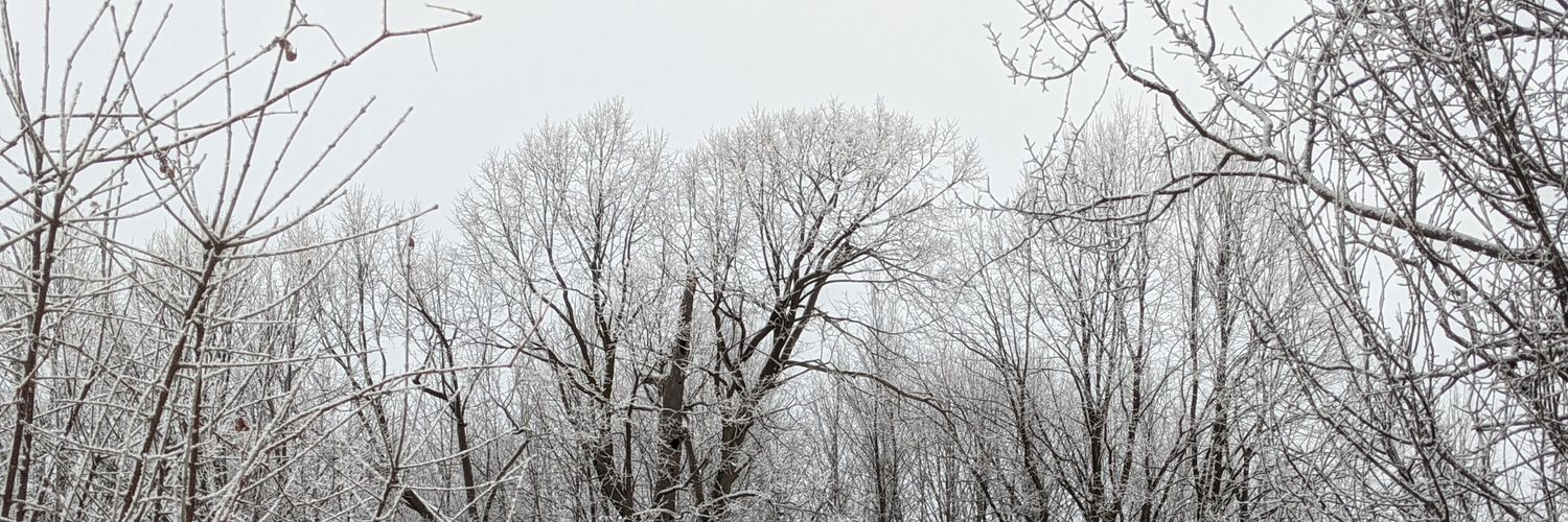 lenhofna's profile banner image