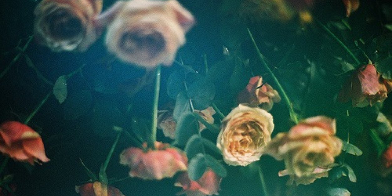 YourOwnHell's profile banner image