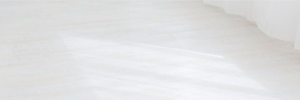 shiramomochan Profile Banner