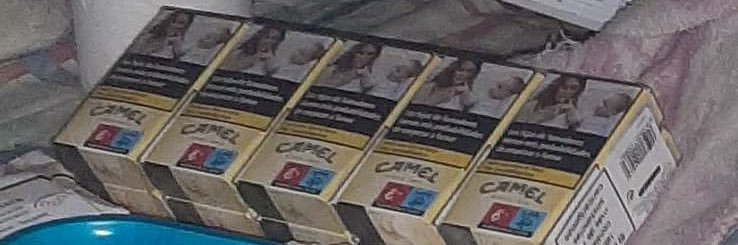 pangolin Wuhanés banner