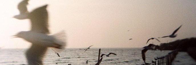 bxmnrch; banner