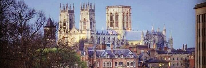 Matty Newbold banner