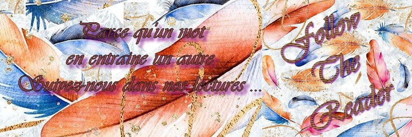 Follow the Reader banner