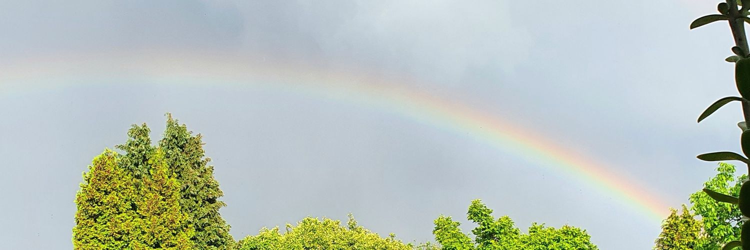 Vincent van den Berkt banner