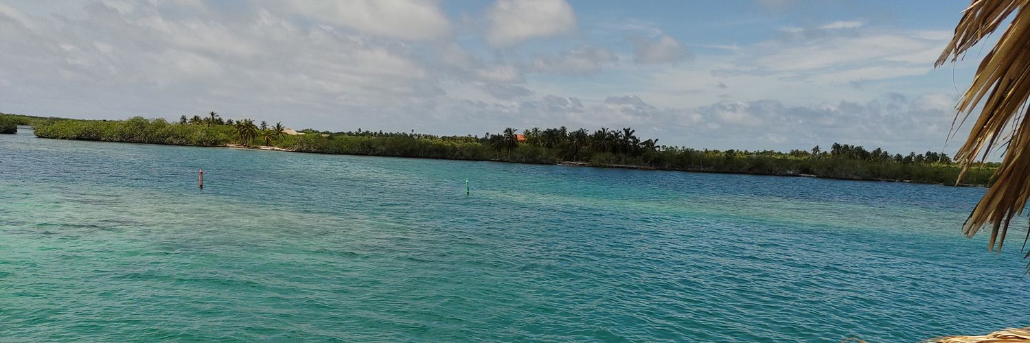 yariflorezm's profile banner image
