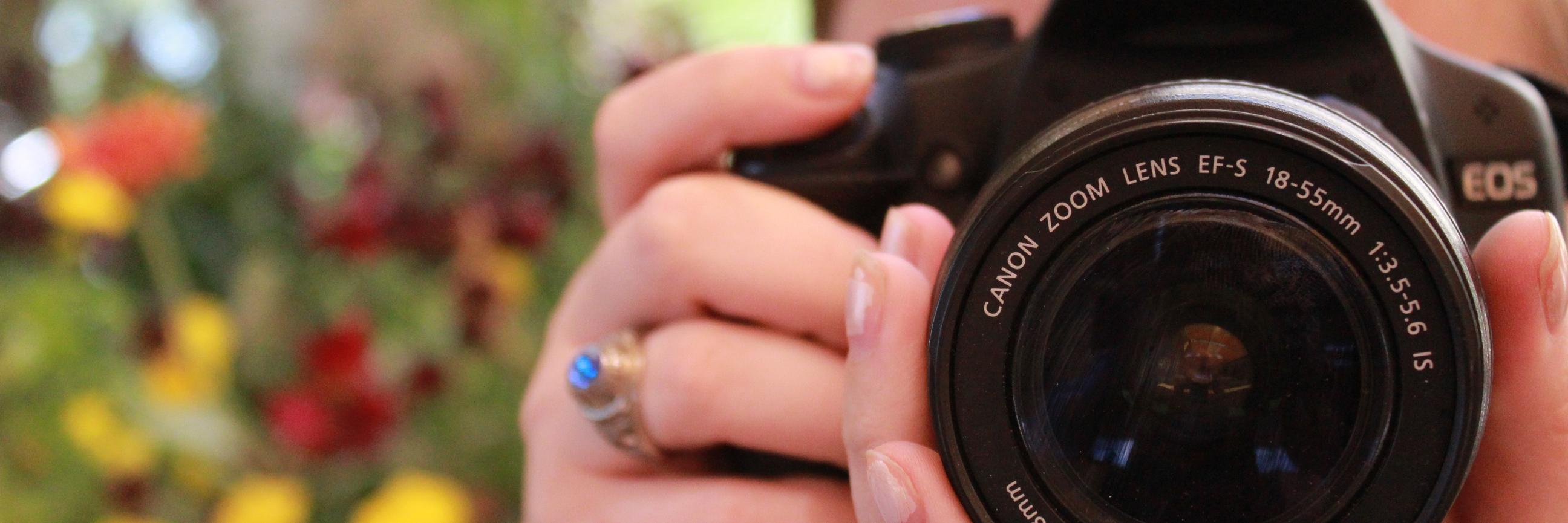 Windsor Smith banner