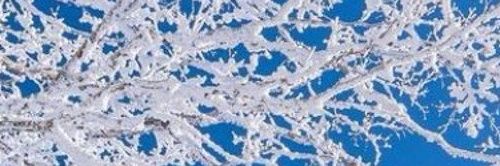 madaatarek's profile banner image