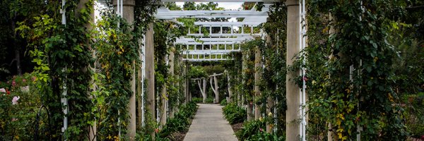 ProfsIsmene Profile Banner