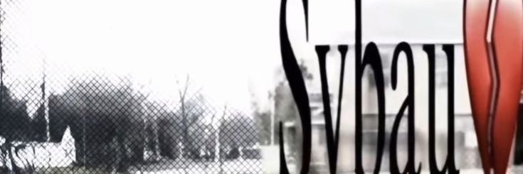 R banner