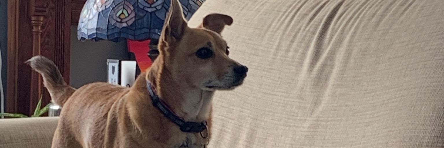 XTucker23's profile banner image