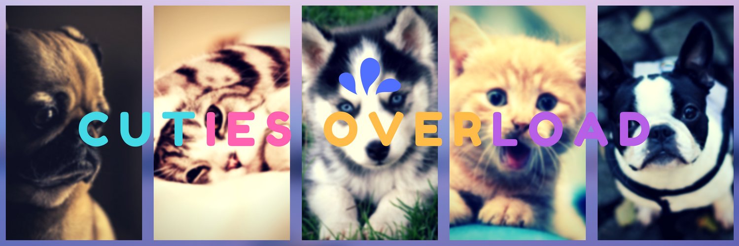 Cuties Overload's banner