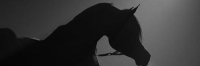 q7_vv's profile banner image