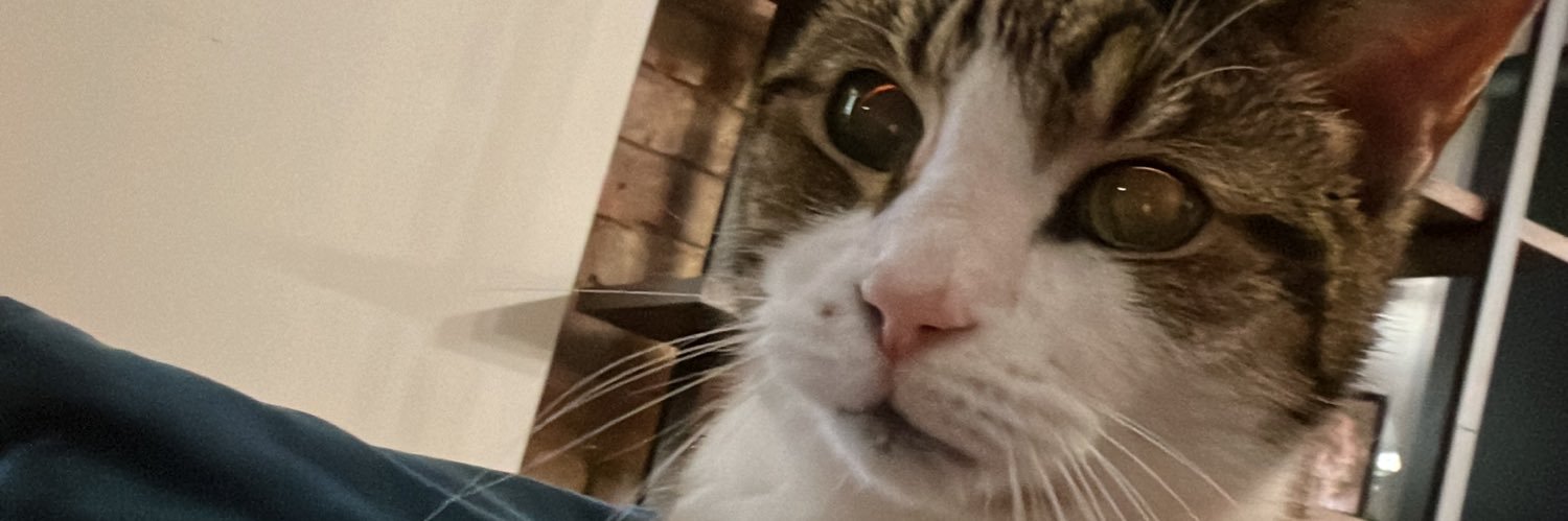joe_sleep98's profile banner image