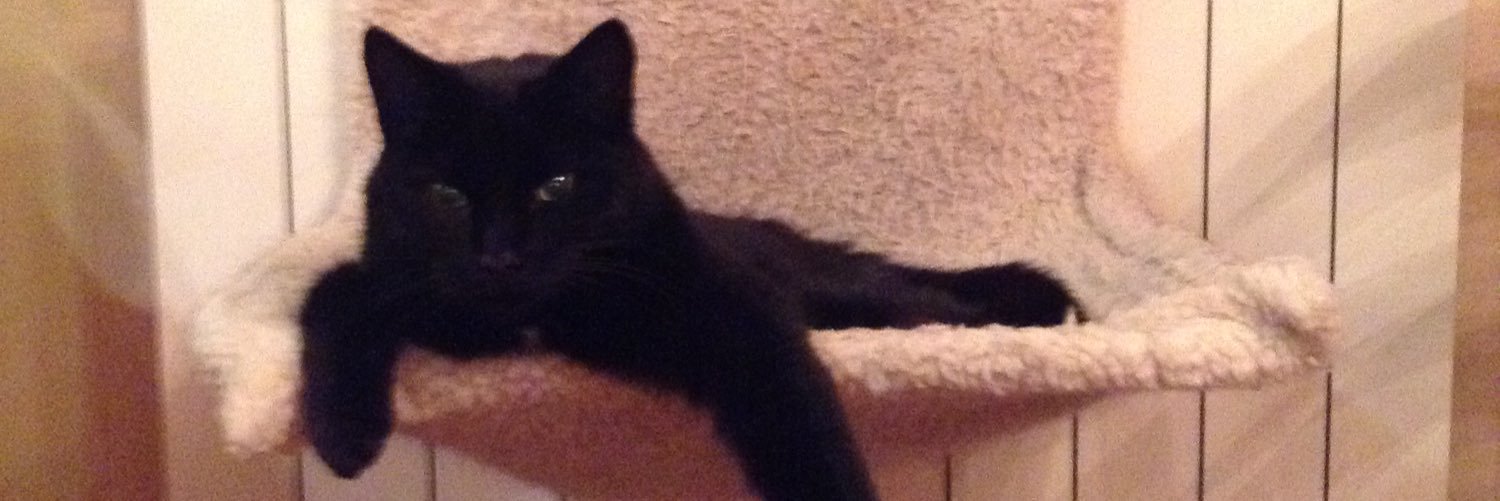 alphabetisoup's profile banner image